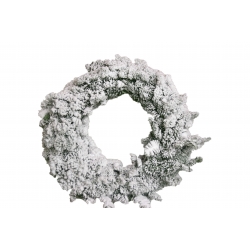 Couronne branches de sapin Nordmann    - 2