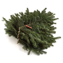 Rameau de sapin vert, forme arrondie, décoré de perles dorées et d'un ruban rouge.