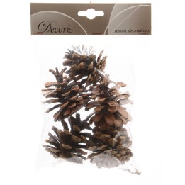 Pines naturelles dans un sachet transparent, brunes et texturées, idéales pour décorer.