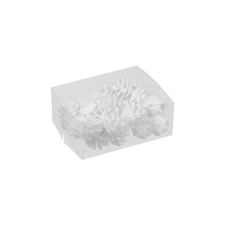 Pignes blanches en plastique, disposées dans un écrin transparent, délicates et décoratives.