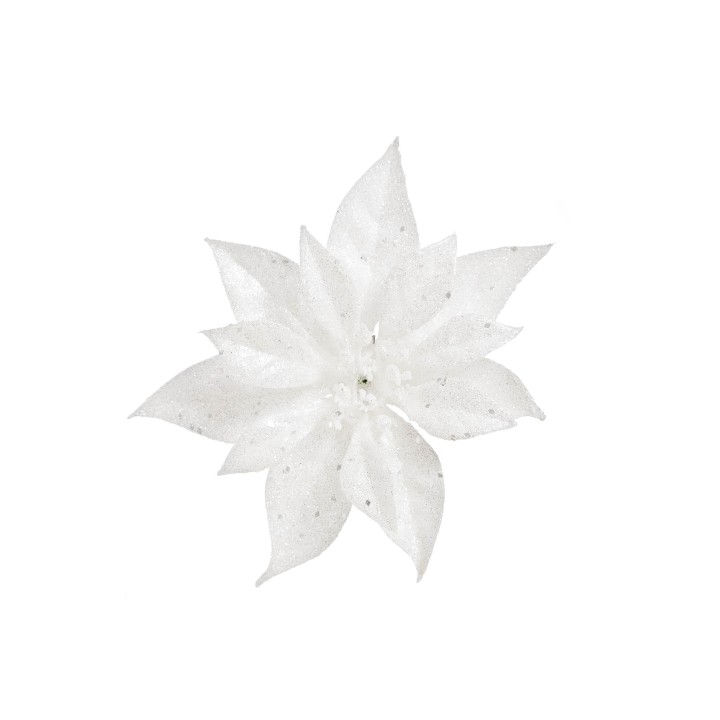 Fleur blanche aux pétales scintillants, délicate et élégante, sur fond uni.