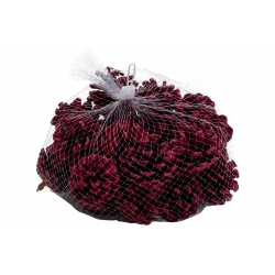 Pommes de pin rouges 300g