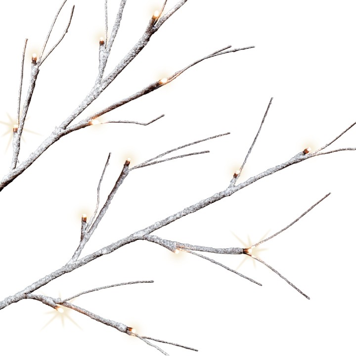 Branches délicates ornées de petites lumières scintillantes sur fond blanc.