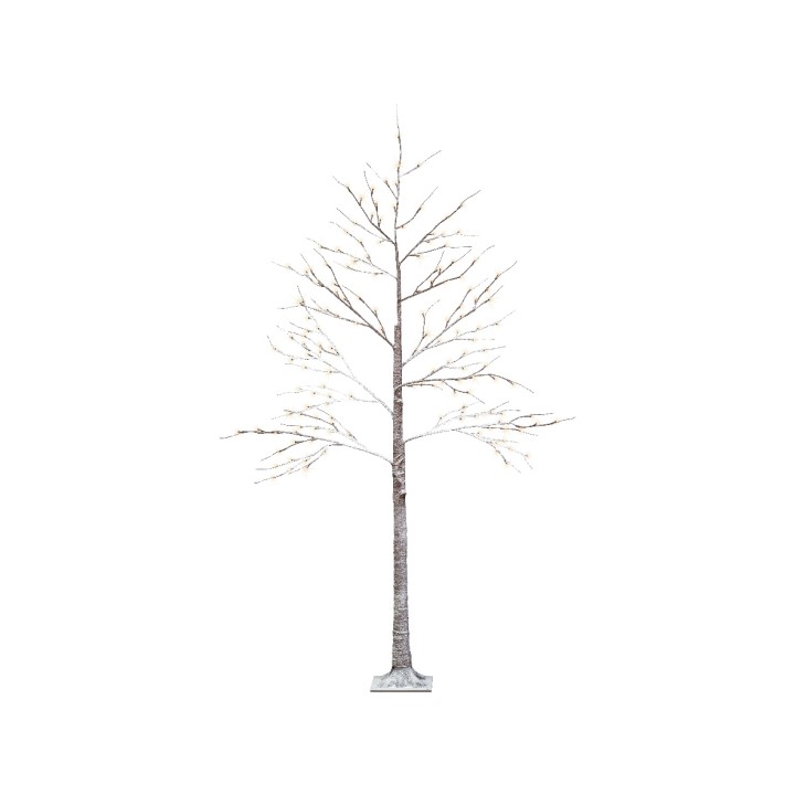 Arbre dépouillé aux branches fines sur fond blanc, évoquant la simplicité et la sérénité.