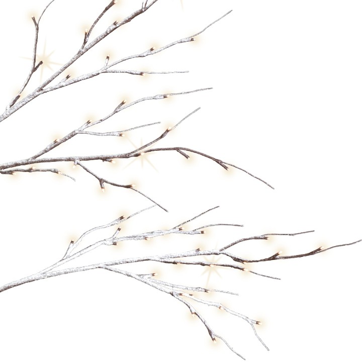 Branches délicates aux teintes grises, parsemées de petites lumières scintillantes.
