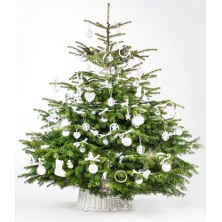 Cache-pied de sapin en osier blanc - 70cmPied de sapin