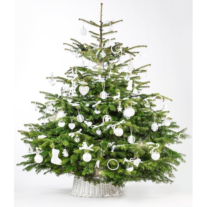 Sapin vert décoré de guirlandes blanches et ornements scintillants, dans un panier tressé.