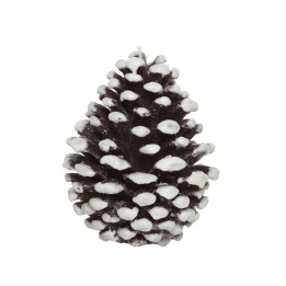 Cône de pin brun, recouvert de neige blanche, formes coniques et texture naturelle.