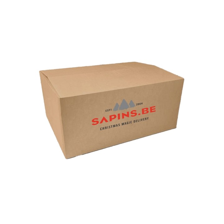 Boîte en carton marron avec logo rouge et motifs de sapins pour livraison de Noël.