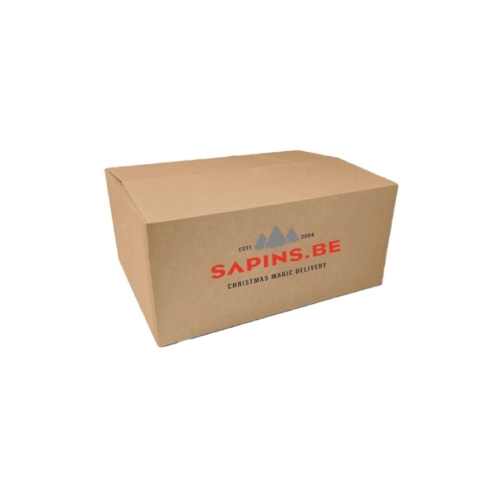 Boîte en carton marron avec le logo rouge "SAPINS.BE" sur le devant.