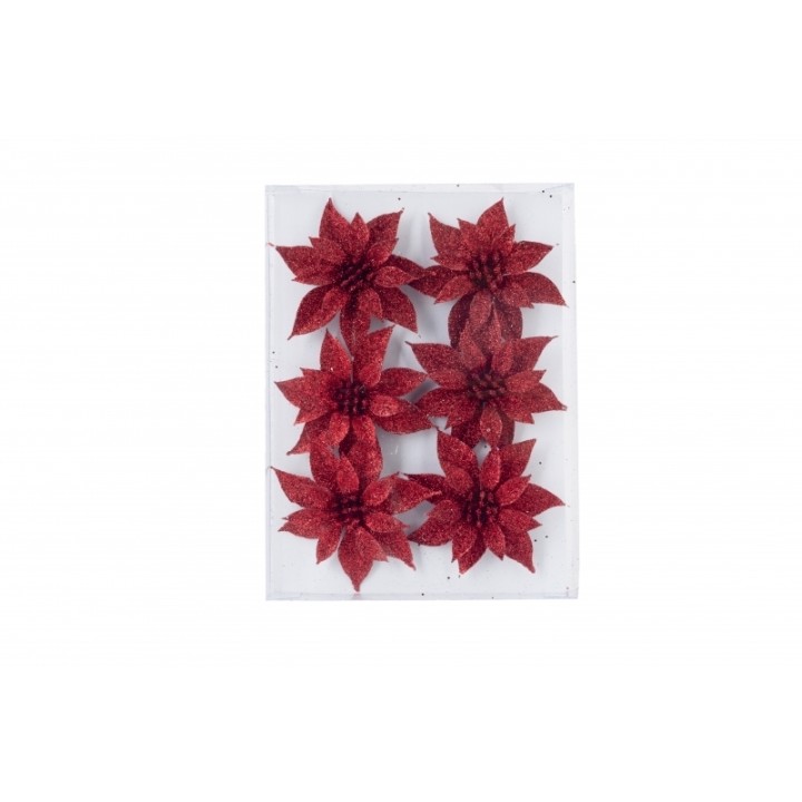 Fleurs rouges en forme d'étoile, scintillantes sur fond transparent.
