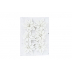 Pack argent et blanc