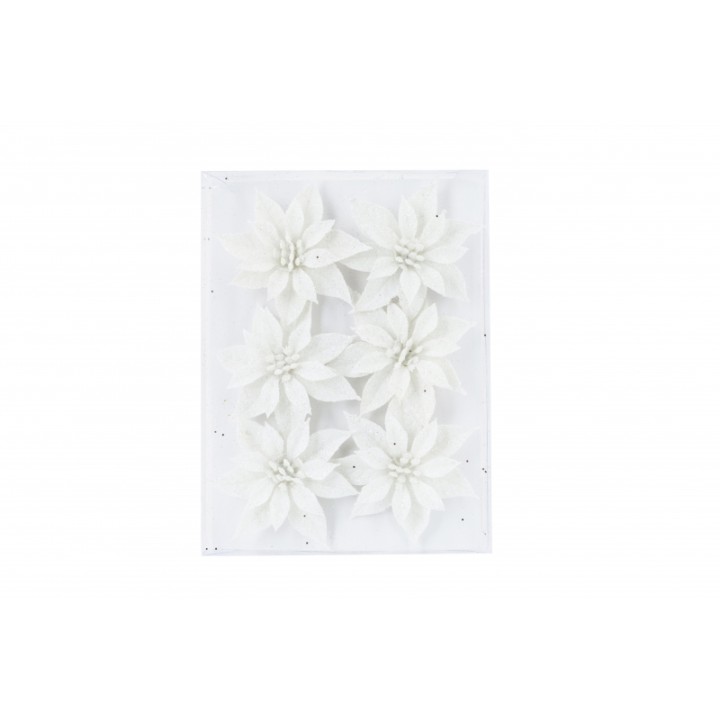 Fleurs blanches délicates disposées sur un fond clair, évoquant la pureté et l'élégance.