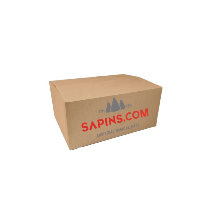 Boîte en carton marron avec logo rouge et motif de sapins. Simple et moderne.