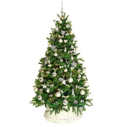 Sapin de Noël décoré de boules argentées et blanches, reposant dans un panier tressé.