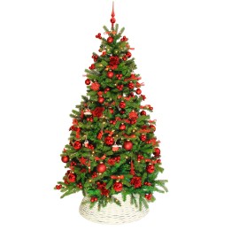 Sapin de Noël vert décoré de boules rouges et dorées, au pied en osier tissé.