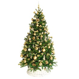 Sapin de Noël décoré de baubles dorées et ornements scintillants sur fond vert.