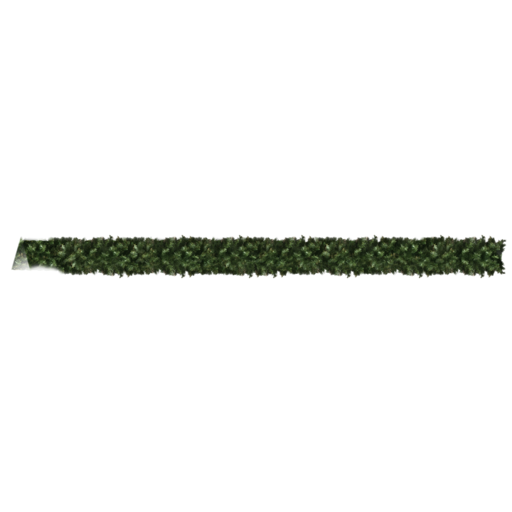 Brin de verdure dense, feuillage foncé, aspect naturel et luxuriant.