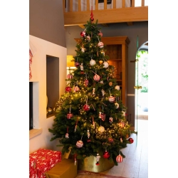 8 Suspensions bonbons 7,5cm | SAPINS.FR