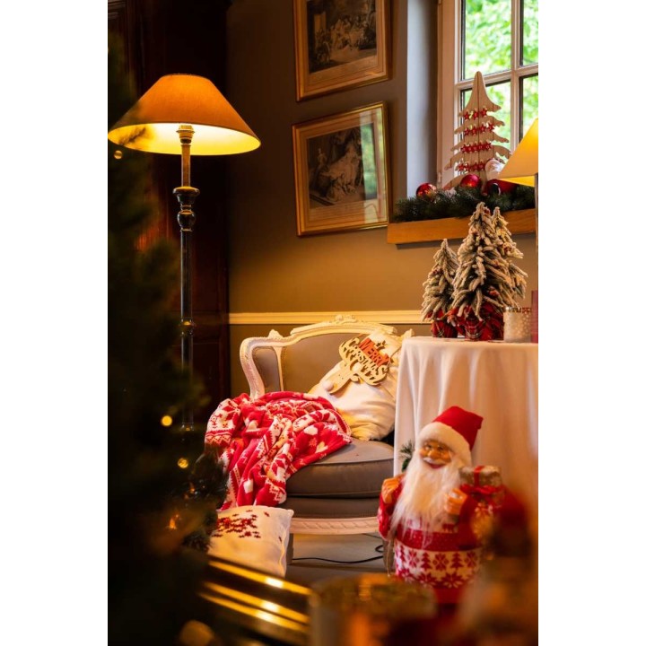 Salon chaleureux décoré pour Noël, avec fauteuil, sapins miniatures et lumière douce.