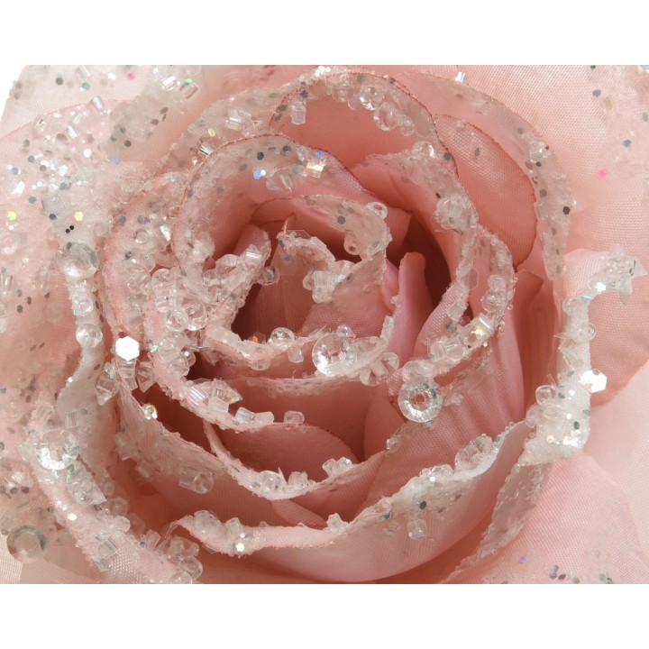 Rose délicate aux pétales rose pâle, parsemée de paillettes scintillantes.