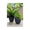 Deux pots noirs, l'un avec une plante feuillue, l'autre avec des herbes vertes.