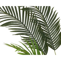 Feuilles de palmier vertes, longues et effilées, créant un effet tropical et luxuriant.
