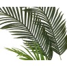 Feuilles de palmier vertes, longues et effilées, créant un effet tropical et luxuriant. Feuilles de palmier vertes, longues et effilées, créant un effet tropical et luxuriant.