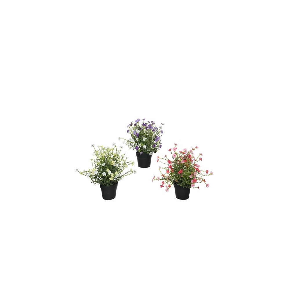 Trio de fleur en pot 28cm