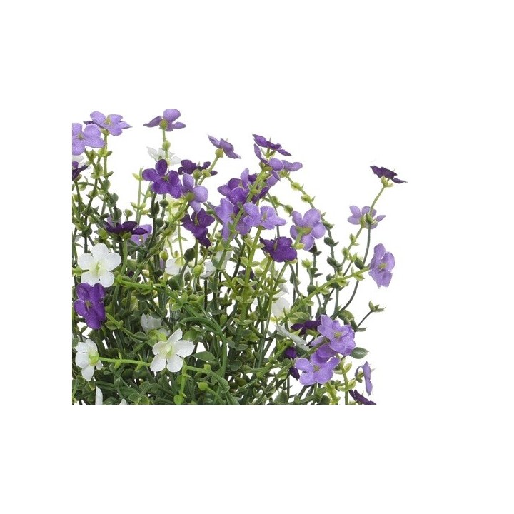 Bouquet de fleurs violettes et blanches, pétales délicats, feuillage verdoyant.