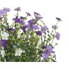 Bouquet de fleurs violettes et blanches, pétales délicats, feuillage verdoyant.