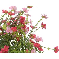Trio de fleur en pot 28cm