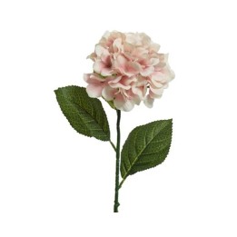 Fleur délicate aux pétales roses, accompagnée de feuilles vertes, sur une tige fine.