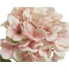 Fleurs délicates aux pétales roses et blancs, disposées en bouquet harmonieux. Fleurs délicates aux pétales roses et blancs, disposées en bouquet harmonieux.