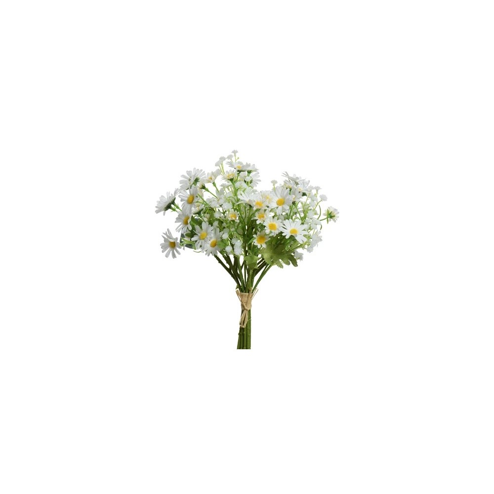 Un bouquet de marguerites blanches, fraîches et délicates, avec des feuilles vertes.