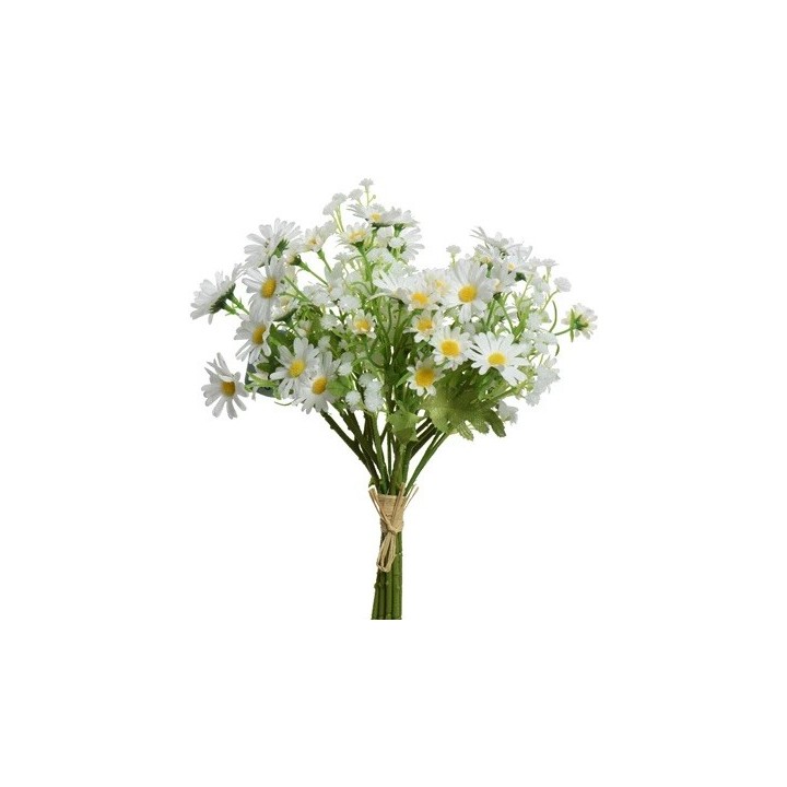 Un bouquet de marguerites blanches, fraîches et délicates, avec des feuilles vertes.