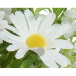 Fleur blanche avec pétales délicats et cœur jaune vif, sur fond verdoyant.