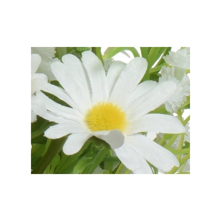 Fleur blanche avec pétales délicats et cœur jaune vif, sur fond verdoyant.