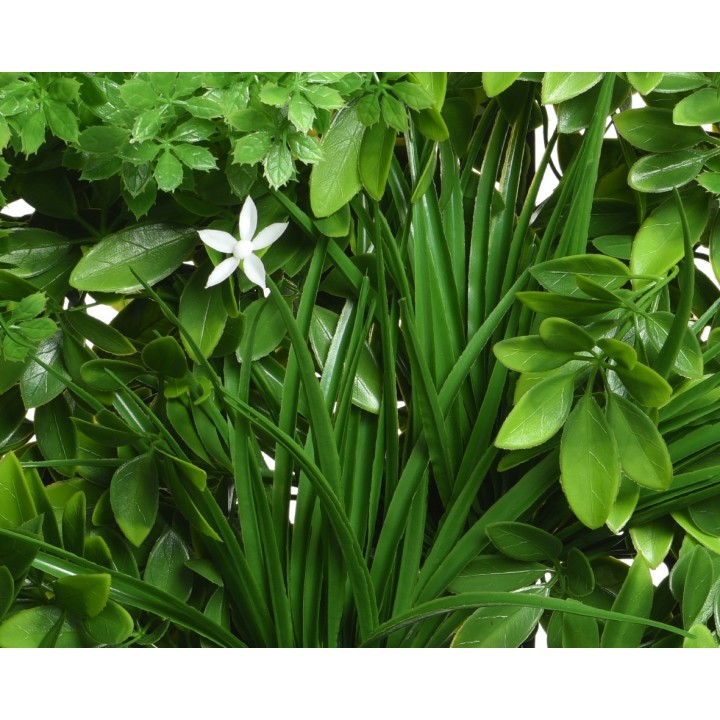Feuillage luxuriant avec une fleur blanche au centre, nuances de vert éclatantes.