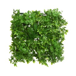 Mur végétal luxuriant avec des feuillages variés, nuances de vert éclatantes.