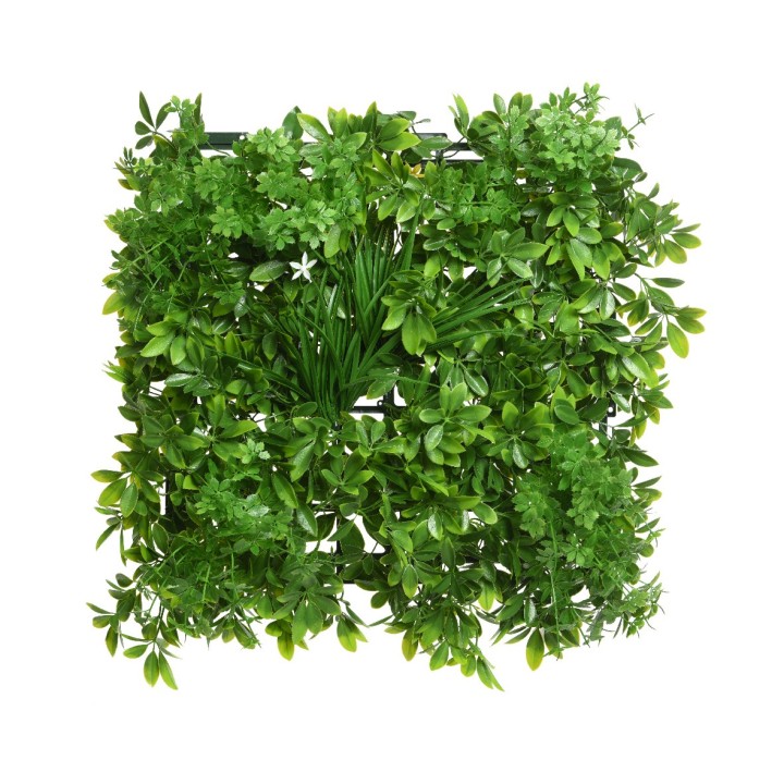 Mur végétal luxuriant avec des feuillages variés, nuances de vert éclatantes.