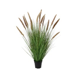 Plante artificielle avec longues tiges vertes et fleurs plumeuses beiges.