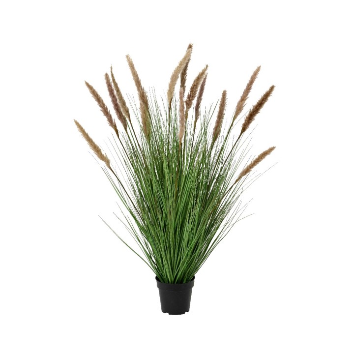 Plante artificielle avec longues tiges vertes et fleurs plumeuses beiges.