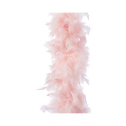 Élégante écharpe en plumes roses douces, légère et aérienne, offrant une touche glamour.