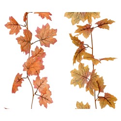 Vignes aux feuilles orange et dorées, délicates et aériennes sur fond blanc.