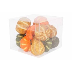 12 Citrouilles multi-colore