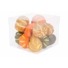 12 Citrouilles multi-colore 12 Citrouilles multi-colore