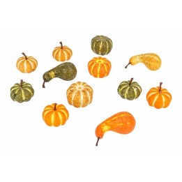 Petites courges colorées, aux formes variées, dans des teintes orange, vert et jaune.