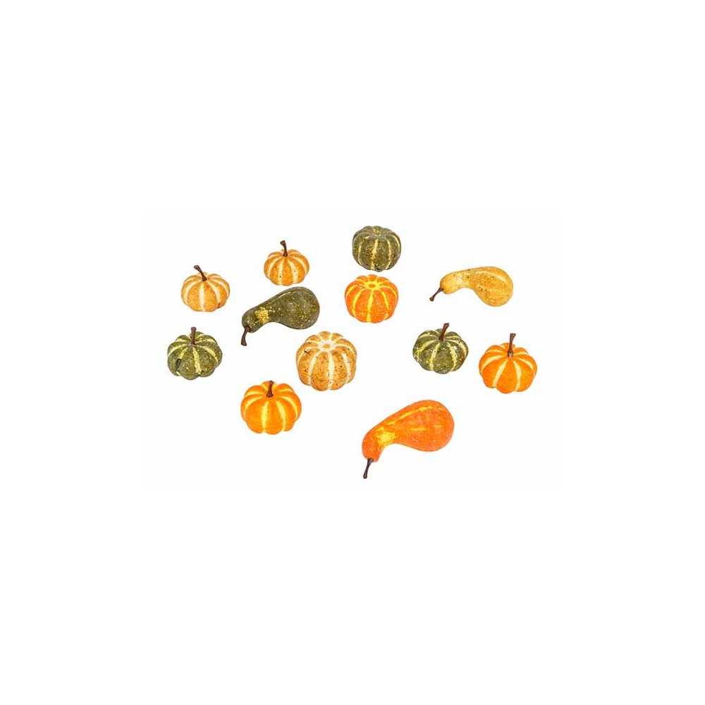 12 Citrouilles multi-colore