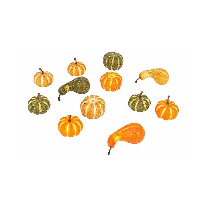 Petites courges colorées, aux formes variées, dans des teintes orange, vert et jaune.